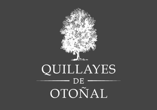 Logo Quillayes de Otonal